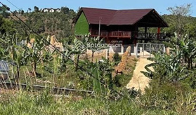 Bán gấp nhà sàn, đất nghỉ dưỡng, đường ô tô. QH thuộc TP Bảo Lộc - LH: 0985432239