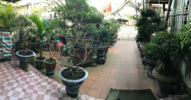 Bán nhà 174 m2 đường Lê Lợi - thị xã Ba Đồn - tỉnh Quảng Bình - LH: 0839726870