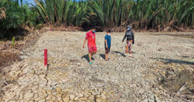 Bán 1186m2 đất vườn gần đường Gò Me, Nhà Bè, HCM - LH: 0972993978