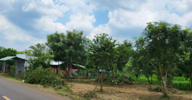 Bán đất tại đường ĐT 52, huyện Đất Đỏ, BRVT - Tel: 0909569853