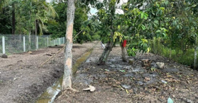 Bán đất mặt tiền An Sơn 01, diện tích: 12,5x65 thổ cư 100m2, Bình Dương - LH: 0901264989