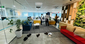 Bán 230m2 dự án Imperia Garden; giá 40tr/m2; đầy đủ PCCC; điều hòa; trần sàn; dòng tiền ổn định