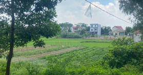 Bán trang trại tại đường 35, xã Bắc Sơn, Sóc Sơn, Hà Nội - LH: 0989247815