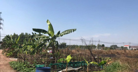 Bán đất tại  tại Thạnh Phước, Tân Uyên - Liên hệ: 0971966366