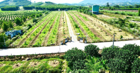 Bán siêu phẩm nhà vườn nghỉ dưỡng 2ha8 tại Khánh Hoà - LH: 0898358789