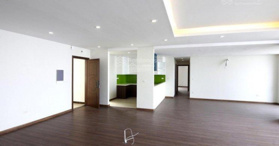Cần cho thuê căn hộ 3PN đồ CB tại Platinum Residences - 6 Nguyễn Công Hoan chỉ 16tr/th