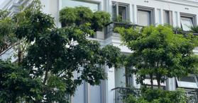 Tôi chính chủ, cần bán gấp giá cực tốt. Biệt thự Starlake Tây Hồ Tây song lập căn góc 215m2 cắt sâu