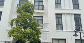 Cần tiền bán gấp căn LK NT08, khu đảo Ngọc Trai, 66m2, giá rẻ nhất chỉ 13 tỷ