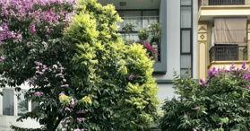 Cho thuê VP Định Công, Hoàng Mai 140m2 0968443633