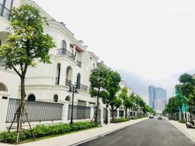 Duy nhất căn biệt thự song lập Sao Biển, 150m2, cách hồ 50m giá chỉ 24,5 tỷ giá tốt nhất thị trường