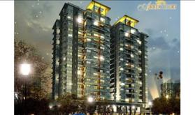 Dự án Amber Court