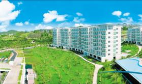 Dự án Ocean Vista