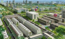 Dự án Prince Town