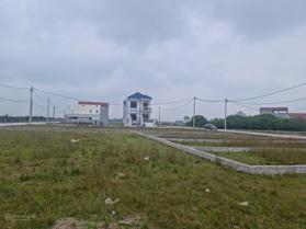 Bán đất tại xã Vĩnh Xá, huyện Kim Động, Hưng Yên 0974388441