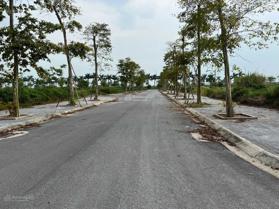 Bán đất dự án New City Phố Nối tại Liêu Xá, Yên Mỹ, Hưng Yên 0987272798