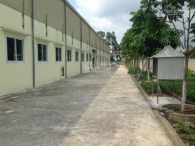 Cho thuê kho, nhà xưởng, đất tại Thái Bình, LH: 0901568123
