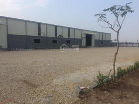 Cho thuê kho, nhà xưởng, đất Thái Thuỵ LH: 0901568123