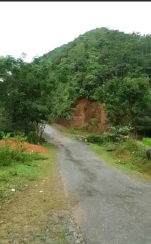Bán gấp đất tại đường Tỉnh lộ 433 1,8ha 0962816955