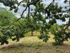 Bán đất tại TK3, Chiềng Sơn, huyện Mộc Châu 0946619008