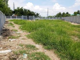 Bán đất tại đường 19/5 Xã Tân Lân, Cần Đước, Long An 513m2 0906911567