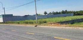 Bán đất tại đường 833B Bến Lức, Long An 1500m2 0825984733