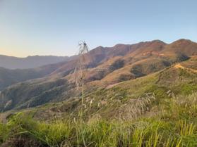 Chuyển nhượng dự án trồng rừng Quỳnh Nhai 0965552291