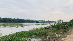 Bán đất tại đường ĐT 816 Xã Thạnh Hòa, Bến Lức, Long An 1150m2 - LH: 0788393967