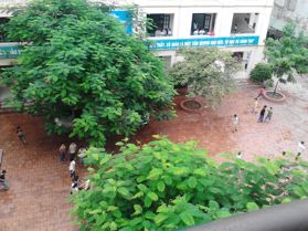 Thông tin địa chỉ Trường THCS Giáp Bát, Hoàng Mai, TP. Hà Nội