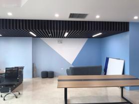 Bán căn hộ chung cư Central Point, Cầu Giấy, DT 286m2 - LH: 0904840746