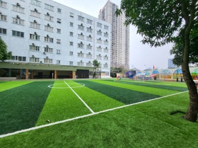 Thông tin địa chỉ Trường Tiểu học Đa Trí Tuệ, Cầu Giấy