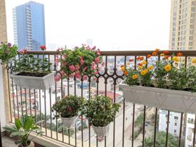 Bán căn hộ chung cư D’. El Dorado Phú Thượng, Tây Hồ, DT 88m2 - LH: 0919904860