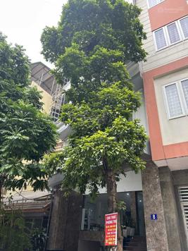 Bán nhà mặt phố 127.4m2 tại Đình Thôn, Nam Từ Niêm - LH 0918178811