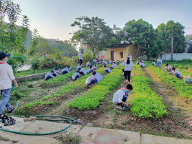 Thông tin địa chỉ Trường THCS Lam Điền, Chương Mỹ   