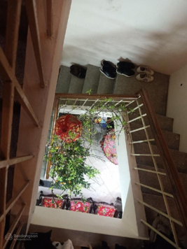 Bán nhà chính chủ phố Cát Linh, DT 51m, 4 tầng - LH: 0347731233