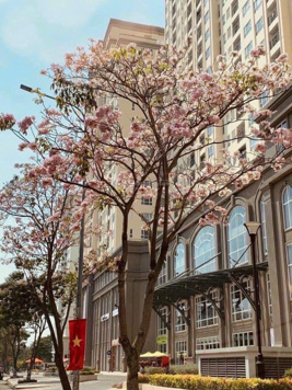  Bán nhà mặt tiền 9A KDC Trung Sơn Bình Chánh - LH: 0931312868