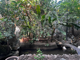 Bán biệt thự mặt tiền Quận Bình Tân gần 2000m2 - LH: 0932427331