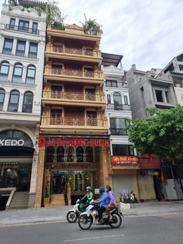 Bán nhà mặt phố Phạm Hồng Thái, Ba Đình, DT 96m2 - LH: 0988939339