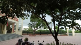 Thông tin địa chỉ UBND Xã Bạch Hạ, Phú Xuyên