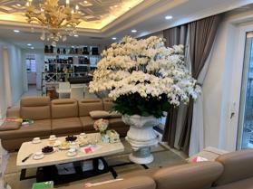 Bán căn hộ chung cư D1-CT2 Tây Nam Linh Đàm, Hoàng Mai, DT 192m2 - LH: 0972999688