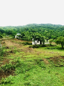 Bán lô đất tiềm năng đầu tư nghỉ dưỡng Cao Phong, Hòa Bình.