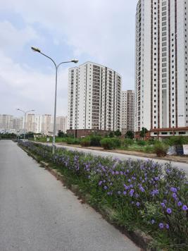Cần bán gấp mảnh 50m2 dịch vụ trục chính khu A Yên Nghĩa, mặt tiền 5m, giá 7.2 tỷ