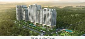 Dự án Opal Riverside
