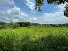 SIÊU PHẨM 522m2 VIEW CÁNH ĐỒNG ,BÁM SUỐI , TẠI YÊN BÀI, BA VÌ, HN