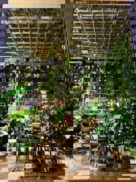 Bán Căn hộ CC cao cấp The One Residence - Gamuda Gardens