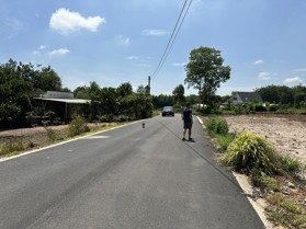 Bán đất mặt tiền đường nhựa, vị trí đẹp như hình, cần trả nợ nên bán giá thấp, sổ sẵn