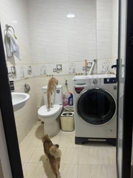 MẶT NGÕ Ô TÔ KINH DOANH - GÂN PHỐ TRƯỜNG CHỢ - KHU ĐÔNG DÂN CƯ NHIỀU TIỆN ÍCH