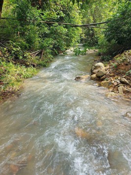 CHÍNH CHỦ GỬI BÁN 2776M2 BÁM SUỐI LỚN , BA VÌ, HN,