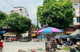 Cần bán lô góc đất 66m2, Vân Hà, Đông Anh, Hà Nôi. giá 26 triệu /m2.