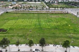 Mở bán quỹ đất dịch vụ xã An Thượng Tháng 7 sổ đỏ pháp lý rõ ràng, LH: 0902 866 636