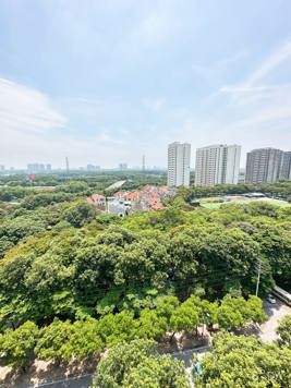 Bán căn hộ tòa #Nơ3 KĐT #PhápVân